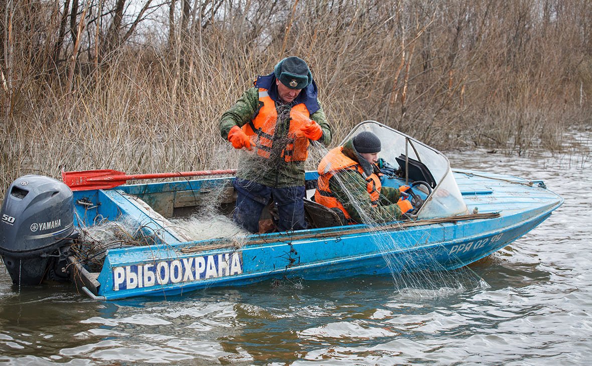 День образования органов рыбоохраны России
