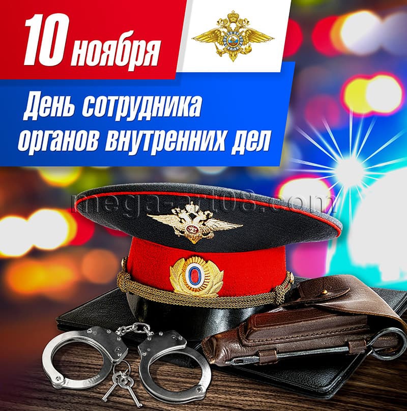 10 ноября в России отмечается День сотрудника органов внутренних дел Российской Федерации